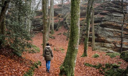 Meditatives Wandern stärkt Körper und Geist