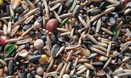 Magnesium ist ein wichtiges Mineral.